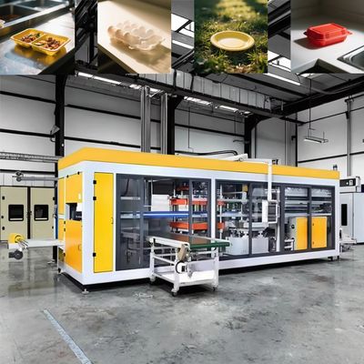 Mesin Thermoforming Kotak Plastik Takeaway yang sepenuhnya otomatis