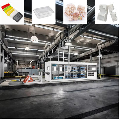 High Output Disposable Box Plastic Food Container Lunch Box Cake Box Cup Lid Making Machine plastic vacuum forming machines